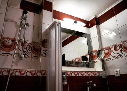 a bathroom with a shower and a mirror at Apartmán 224 in Mikulov