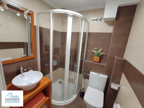 a bathroom with a shower and a toilet and a sink at Apartamento Ogoño in Mundaka