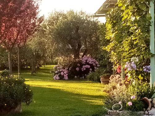 A garden outside Vecchio Casale Margherita