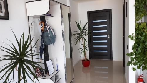 a hallway with a black door and plants at DreamView Mamaia SummerApt in Mamaia