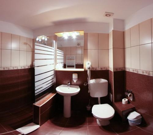 a bathroom with a toilet and a sink and a mirror at Hotel Fantanita Haiducului in Bradu