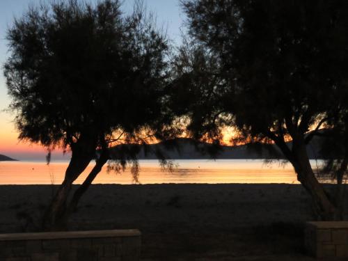 two trees on the beach at sunset at Corali Hotel Beach Front Property in Ios Chora