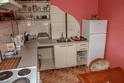 una pequeña cocina con fregadero y nevera. en Pie Pifa en Pāvilosta