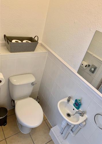 a bathroom with a toilet and a sink at Gumfreston Guest House in Tenby