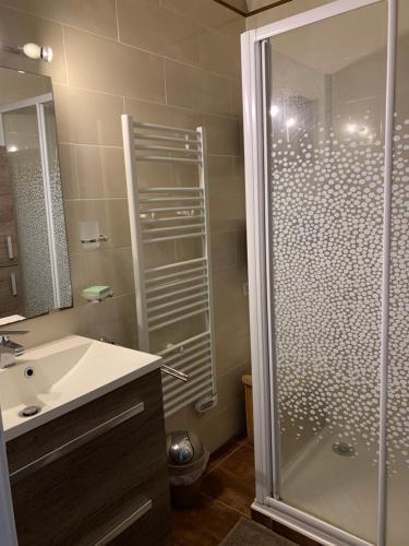 La salle de bains est pourvue d'une douche et d'un lavabo blanc. dans l'établissement Canet Plage Appartement Cosy très calme, à Canet