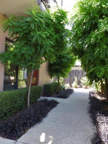 a walkway with trees in front of a building at Abbella Lodge Motel in Christchurch