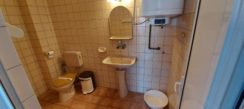 y baño con lavabo, aseo y espejo. en Guest House Nikolovi, en Lozenets