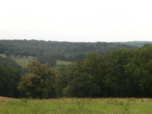 a group of trees in a grassy field at La grange de Tombeloly in Clermont-de-Beauregard