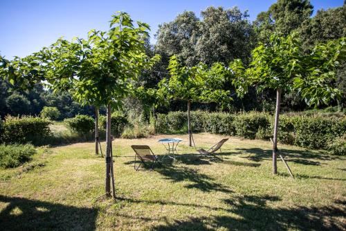Giardino di Domaine Les Perpetus