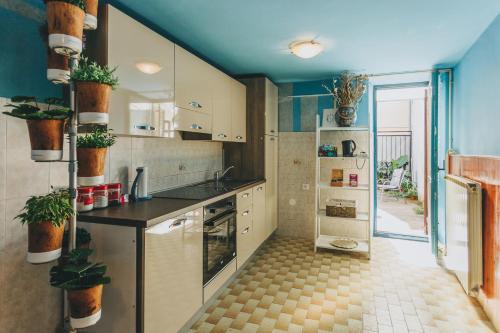 una cocina con fregadero y una barra con plantas en House365, en Koper