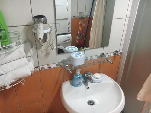 a bathroom with a sink and a mirror at Between the lake and the forest in Ohrid