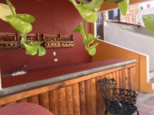 a bar with green plants on the wall at Hotel Spa Casa del Sol in Guanajuato