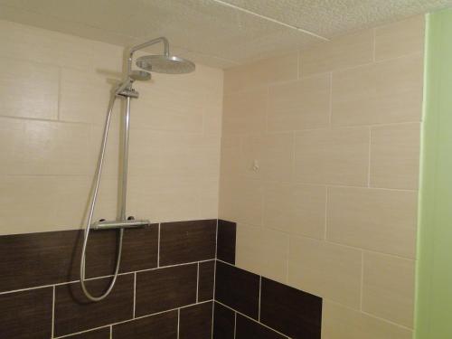 a shower in a bathroom with brown tiles at La Maison Provençale in Unieux