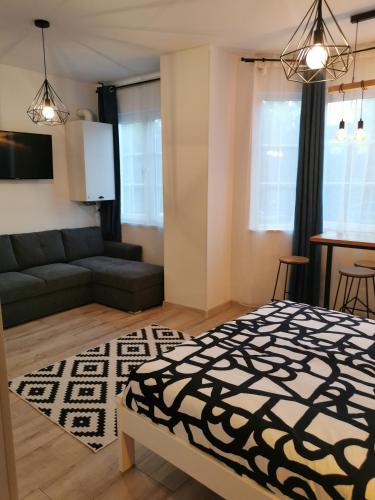 a living room with a bed and a couch at Central Park Studio Petrosani in Petroşani
