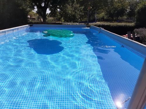a large blue swimming pool with a green toy in it at La Bergerie à Palleau, Les Blés Dorés et Les Graines de Lin à Corgengoux, proches de Beaune et de ses villages viticoles in Palleau