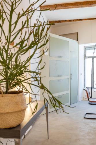 Photo de la galerie de l'établissement Chic et moderne, à Marseille