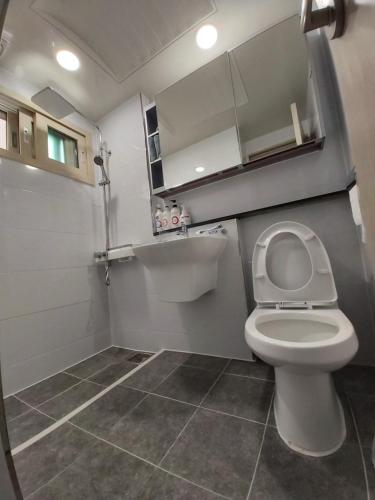a small bathroom with a toilet and a sink at ARA Palace Hotel in Jeju