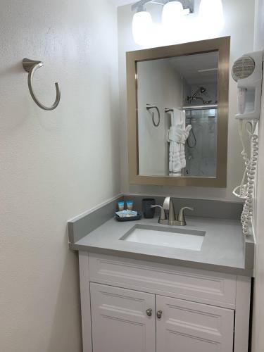 a bathroom with a sink and a mirror at 18-Universal and Heart of International Dr in Orlando