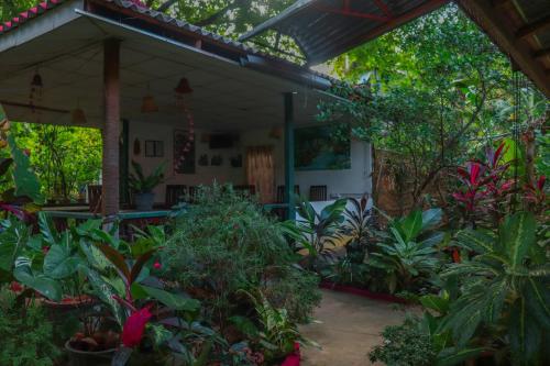 a house with a lot of plants in front of it at Levona Garden Resort in Habarana