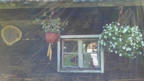Jardín al aire libre en Domaćinstvo Filipović