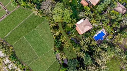 Alam Shanti Ubud – Foto 3