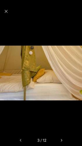 Galeriebild der Unterkunft Into the Green Glamping- Beech in Markt Nordheim