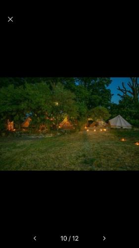 a picture of a field with a tent and trees at Into the Green Glamping- Maple in Markt Nordheim