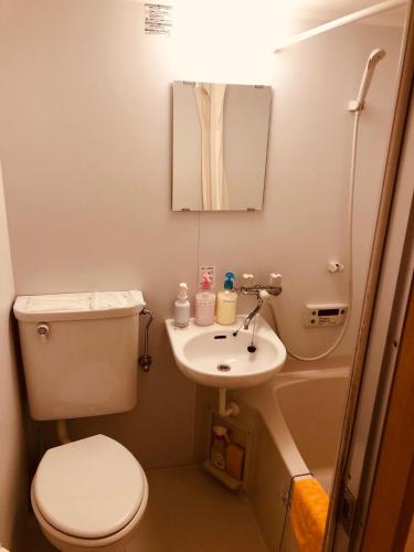 Ichijyo IVY 5 persons room