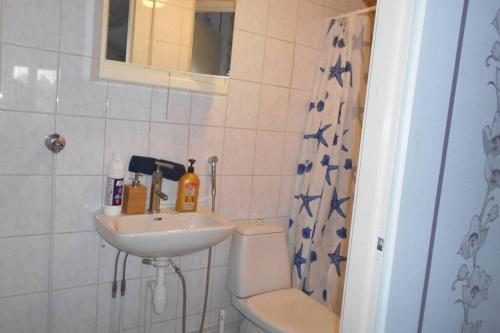 a bathroom with a sink and a toilet and a shower at Perniön Majoitus 6 in Perniö