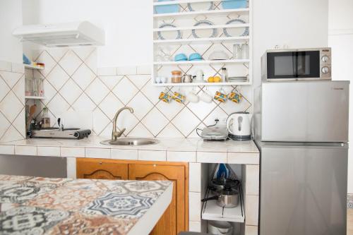 a small kitchen with a refrigerator and a sink at Unique Anoi House - In the Heart of Skyros Village in Skiros