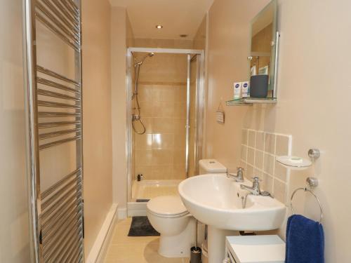 a bathroom with a sink and a toilet and a shower at Fieldfare Lodge in Leyburn