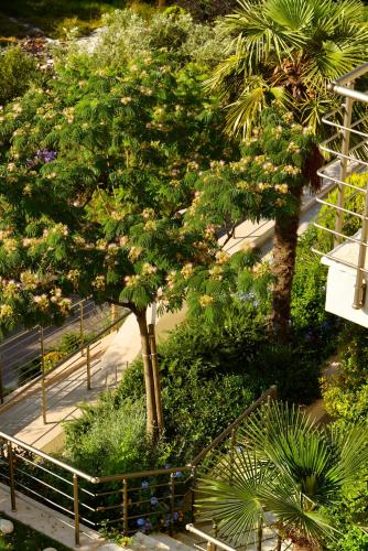 Gallery image of Prima Vista Beachfront Boutique Hotel in Syvota