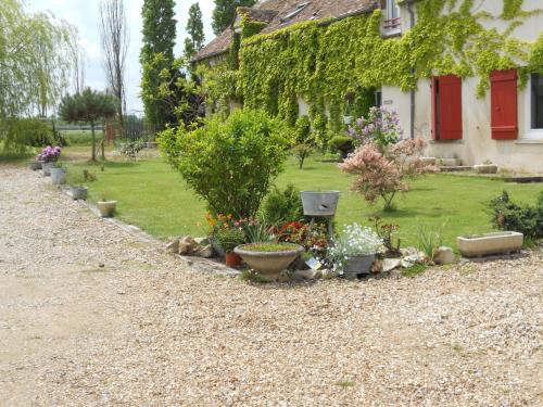 a row of potted plants in front of a house at Ferme les Rousseaux in La Belliole