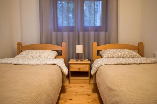 - une chambre avec 2 lits et une fenêtre dans l'établissement Apartman Jovana, à Sokobanja