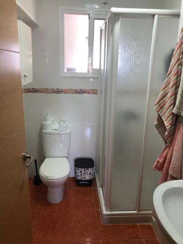 y baño con aseo y ducha. en Bonitas habitacións en piso compartido casa antonio, en Sevilla