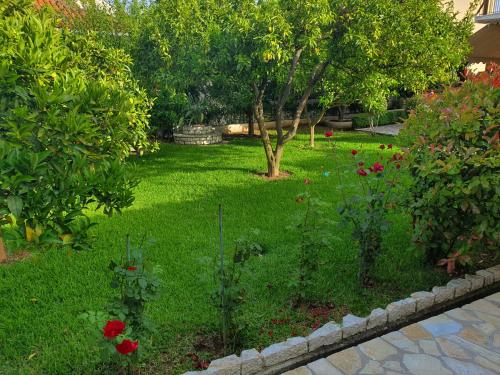 a garden with a tree in the middle of a yard at Daglas Summer House in Nydri