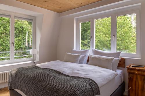 a bedroom with a bed with two windows at Zweite Heimat Heidelberg in Heidelberg