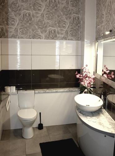 a bathroom with a toilet and a sink at Villa Happy Rose in Dąbki