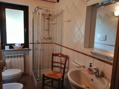 a bathroom with a sink and a shower and a toilet at La Maison Du Bon Megnadzo in Doues