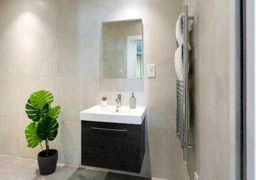 a bathroom with a sink and a mirror and a plant at Deluxe Central London North Apartment in London