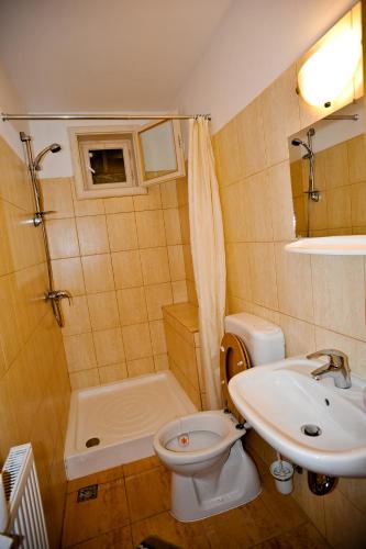 a bathroom with a toilet and a sink and a tub at Pensiunea Muntean in Sibiel