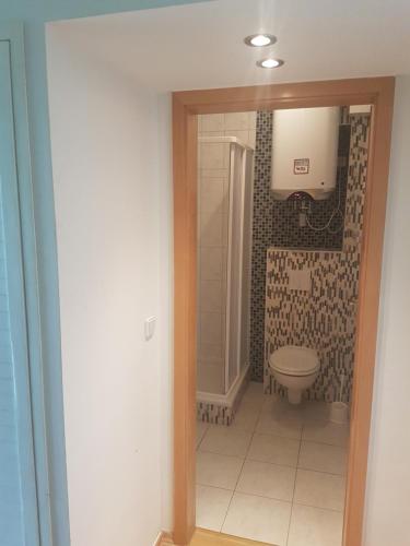 uma casa de banho com um WC e um chuveiro em Haus Müritz, FeWo 17 Hecht em Zielow
