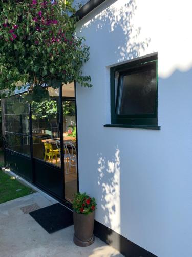 een blauw huis met een raam en een potplant bij Casa Lourido in Sada