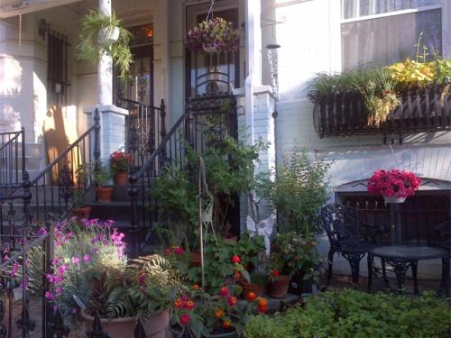 Un mucchio di piante in vaso sul lato di una casa. di Ledroit Park Renaissance Bed and Breakfast a Washington