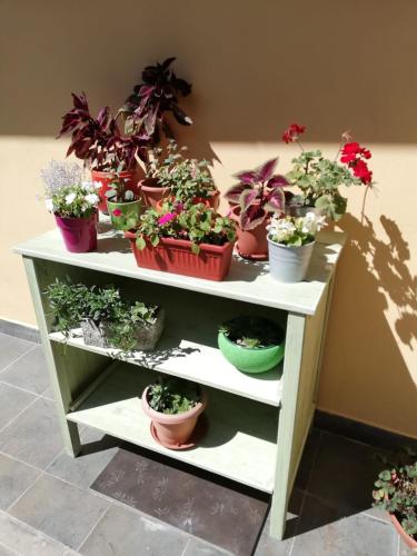 Gallery image of Studio apartman Fleiss in Samobor