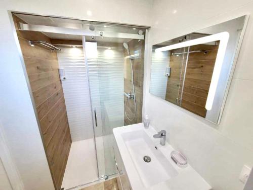 een badkamer met een wastafel, een douche en een spiegel bij Mer & Calme in Saint-Mandrier-sur-Mer