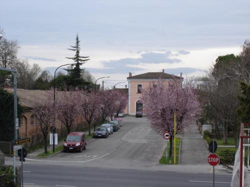 a street with cars parked on the side of the road at Al Flor in Bagnacavallo