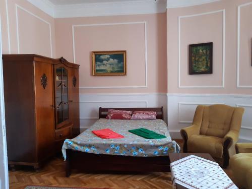 Cama o camas de una habitación en Старовинні апартаменти у центрі міста
