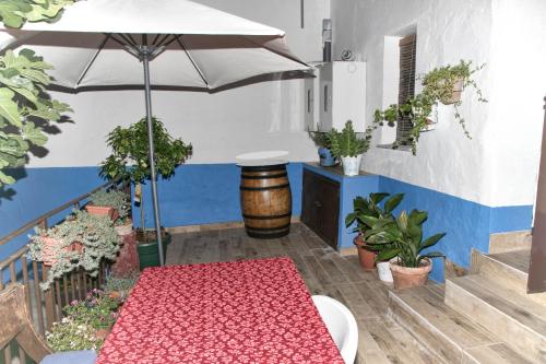 a patio with a table with an umbrella and plants at Apts la cañada birding con encanto y patio en monfrague torrejon el Rubio in Torrejón el Rubio