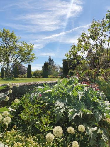 a garden with flowers and a pond at Barnett Hill Hotel in Guildford